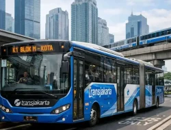 Transportasi Publik Bukan Hanya Soal Aturan, tetapi Juga Menghormati Martabat Manusia