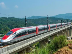 Saham Indonesia di Proyek Whoosh Bakal Dipindah ke Kemenkeu, Pemerintah Siapkan Skema Baru