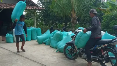 Musim Panen Datang Membawa Berkah, Petani Gantar Sambut dengan Penuh Syukur