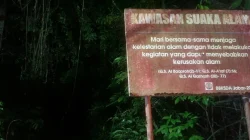 Situs Megalitikum Gunung Tangkil Sukabumi Terancam Rusak, Pelestarian Jadi Sorotan
