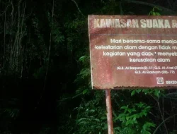 Situs Megalitikum Gunung Tangkil Sukabumi Terancam Rusak, Pelestarian Jadi Sorotan