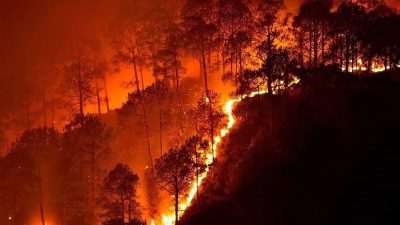 Menagih Ketegasan Negara terhadap 95 Korporasi Terindikasi Karhutla