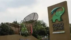 Dugaan Larangan Hijab Calon Peserta Magang di Solo Safari Pemicu Polemik