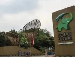 Dugaan Larangan Hijab Calon Peserta Magang di Solo Safari Pemicu Polemik